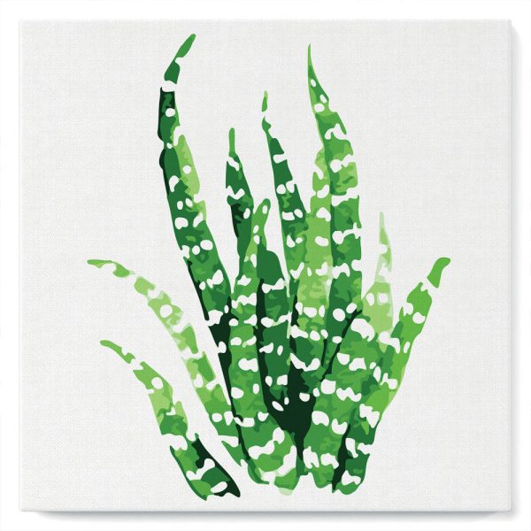 Mini Paint by numbers 8 x8  framed - Abstract Aloe Vera Plant For Sale