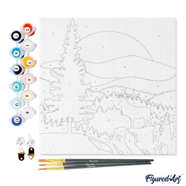 Mini Paint by numbers 8 x8  framed - A Moose on the Cliff For Sale - Image 5