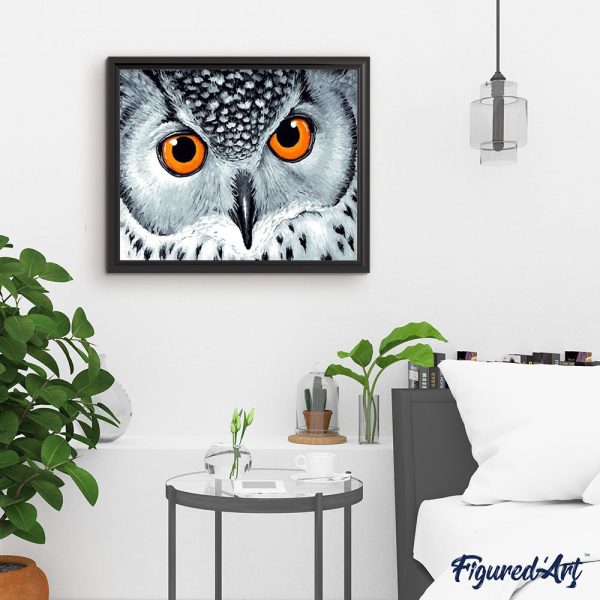Owl with Orange Eyes Online now - Image 3